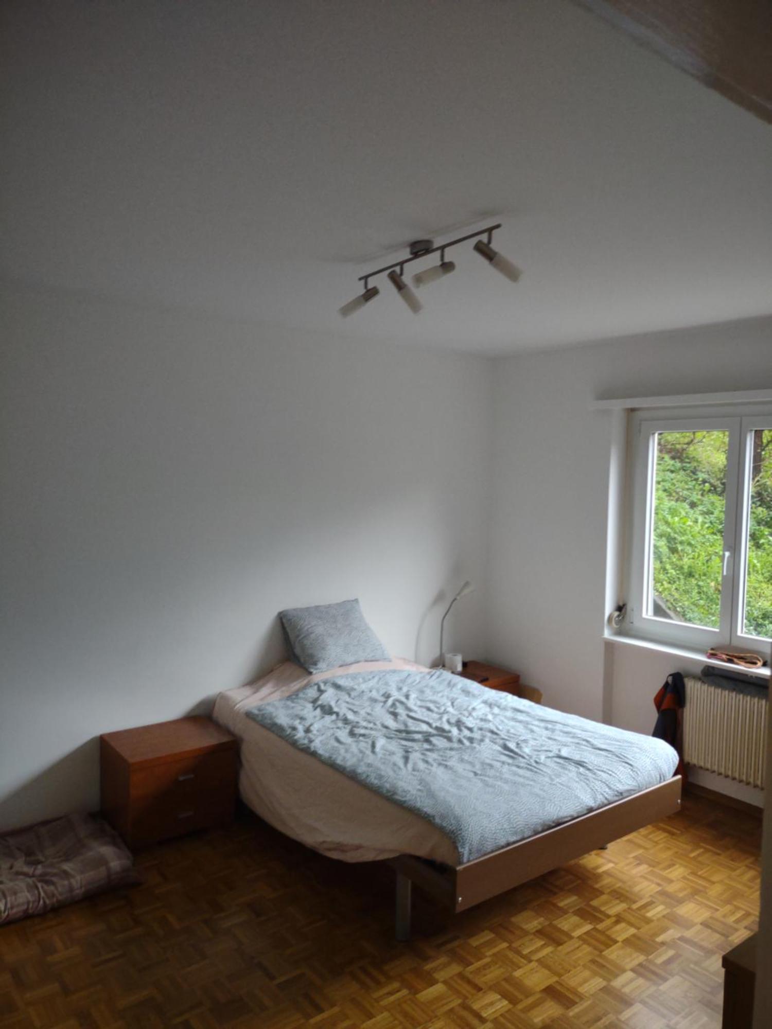 Appartamento Bellavista Lugano Massagno Экстерьер фото